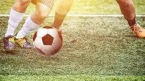 德裏赫特簡介：詳盡個人資料